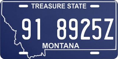 MT license plate 918925Z