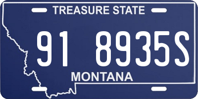 MT license plate 918935S