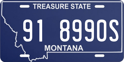 MT license plate 918990S