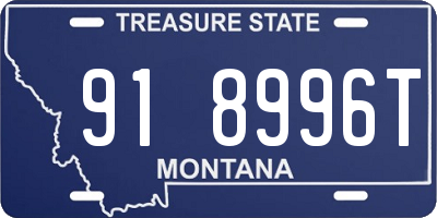 MT license plate 918996T