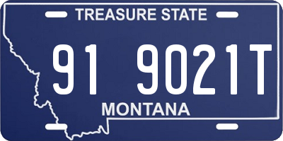 MT license plate 919021T