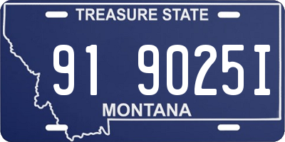 MT license plate 919025I
