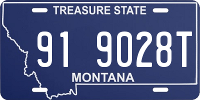 MT license plate 919028T