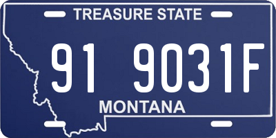 MT license plate 919031F