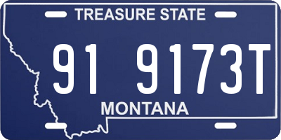 MT license plate 919173T