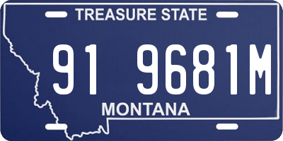 MT license plate 919681M