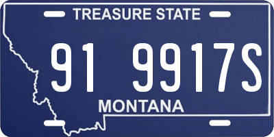 MT license plate 919917S