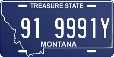 MT license plate 919991Y