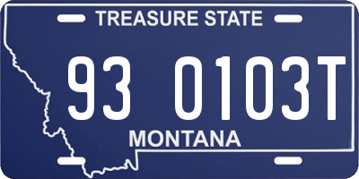 MT license plate 930103T
