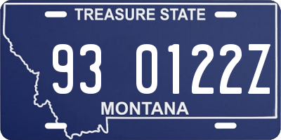 MT license plate 930122Z