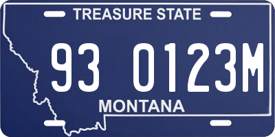 MT license plate 930123M