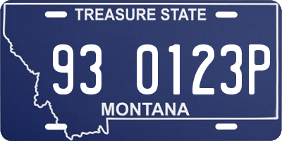 MT license plate 930123P