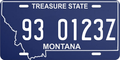 MT license plate 930123Z