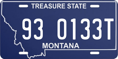 MT license plate 930133T