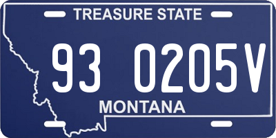 MT license plate 930205V