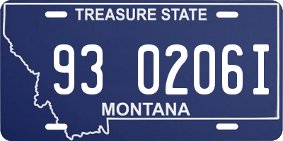 MT license plate 930206I