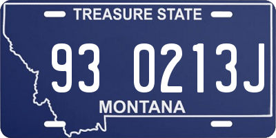 MT license plate 930213J