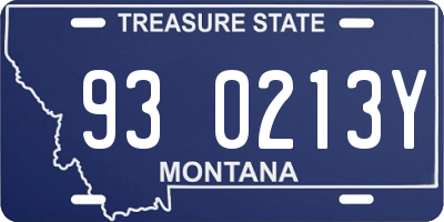 MT license plate 930213Y