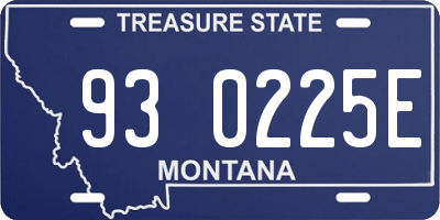 MT license plate 930225E