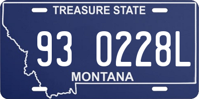 MT license plate 930228L