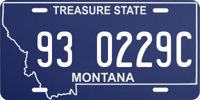 MT license plate 930229C