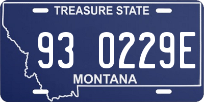 MT license plate 930229E