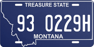MT license plate 930229H