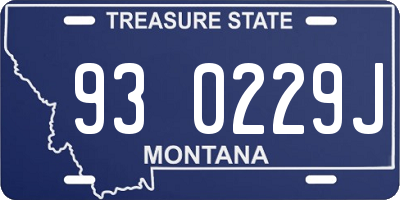 MT license plate 930229J