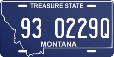 MT license plate 930229Q