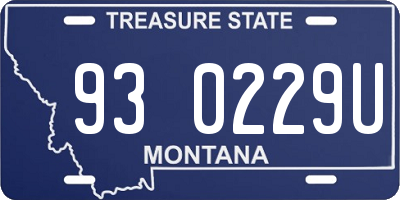 MT license plate 930229U