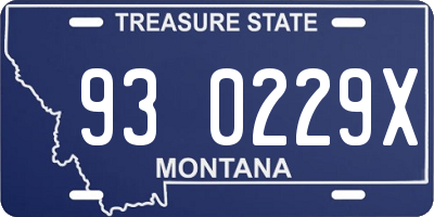 MT license plate 930229X
