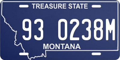 MT license plate 930238M