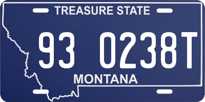 MT license plate 930238T