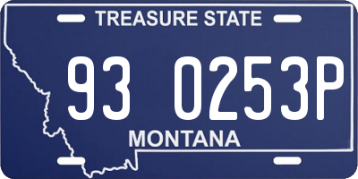 MT license plate 930253P