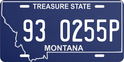MT license plate 930255P