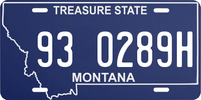 MT license plate 930289H
