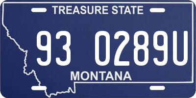 MT license plate 930289U