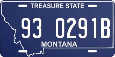 MT license plate 930291B