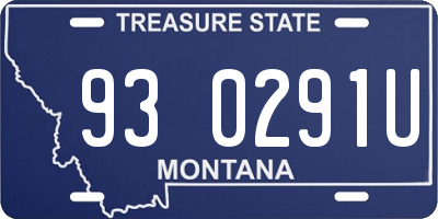 MT license plate 930291U