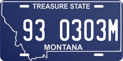 MT license plate 930303M