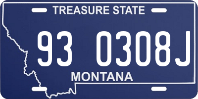 MT license plate 930308J