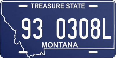 MT license plate 930308L