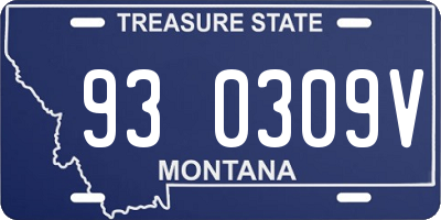 MT license plate 930309V