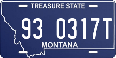 MT license plate 930317T