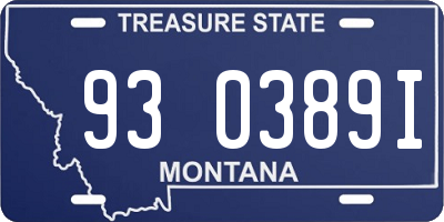 MT license plate 930389I