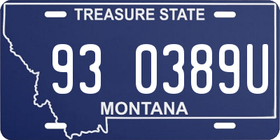 MT license plate 930389U