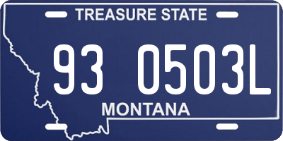 MT license plate 930503L