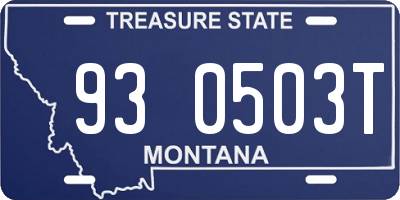 MT license plate 930503T