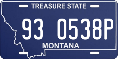 MT license plate 930538P