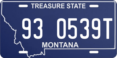 MT license plate 930539T